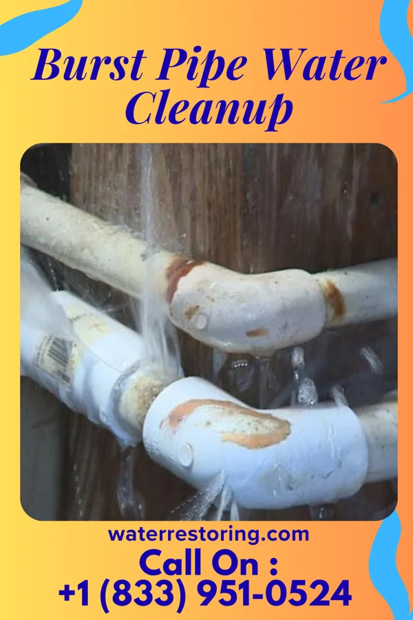 Burst Pipe Water Cleanup in Bay Hill, FL