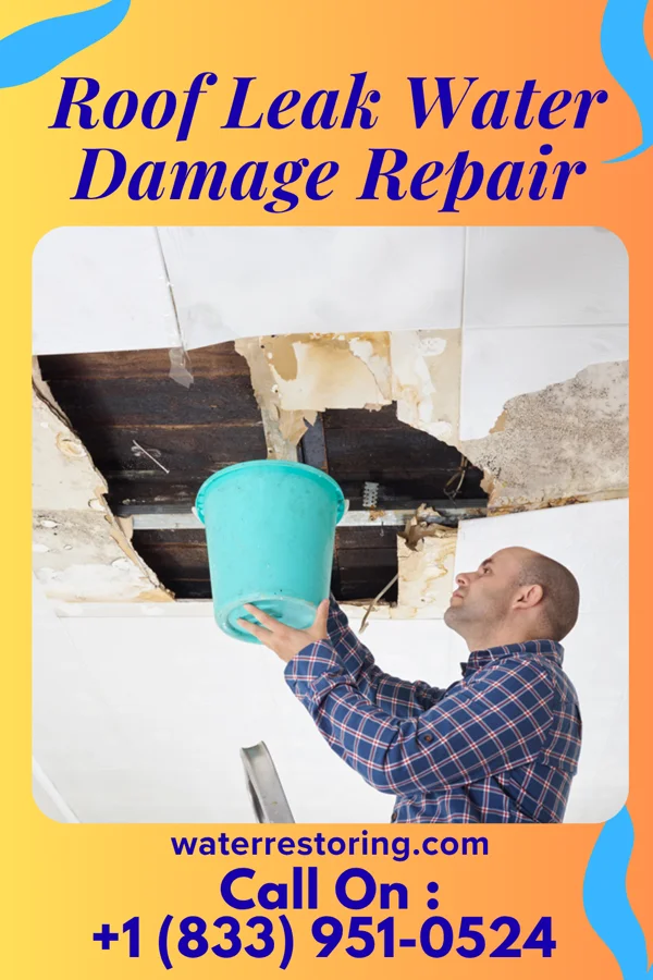 Roof Leak Water Damage Repair in Bay Hill, FL