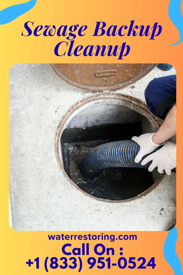 Sewage Backup Cleanup in Bay Hill, FL