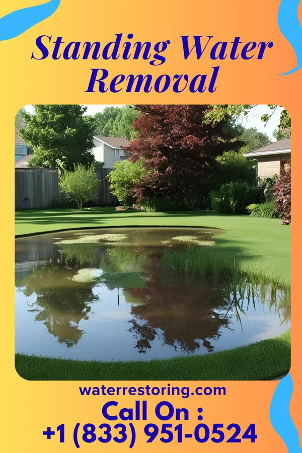Standing Water Removal in Bay Hill, FL